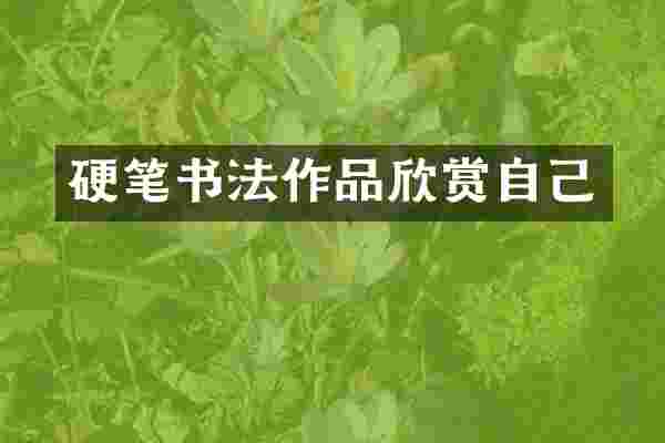 硬笔书法作品欣赏自己