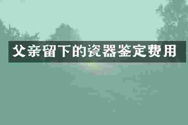 父亲留下的瓷器鉴定费用