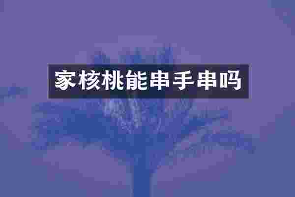 家核桃能串手串吗