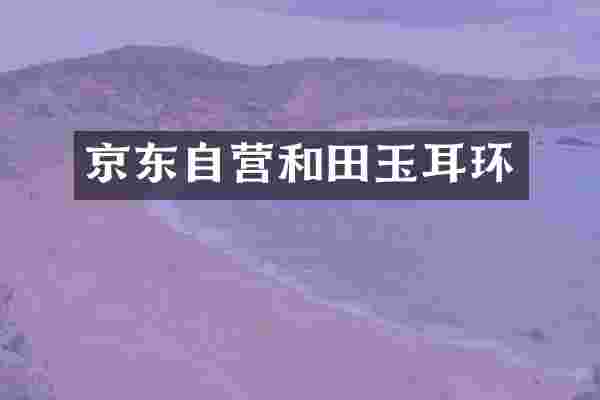京东自营和田玉耳环
