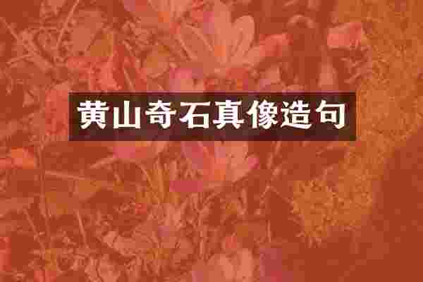 黄山奇石真像造句