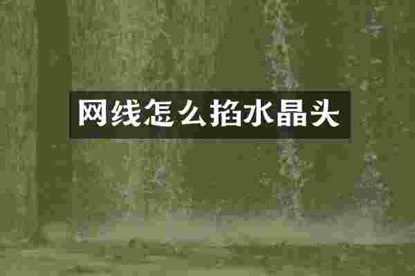 网线怎么掐水晶头