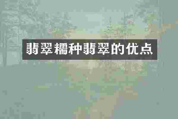 翡翠糯种翡翠的优点