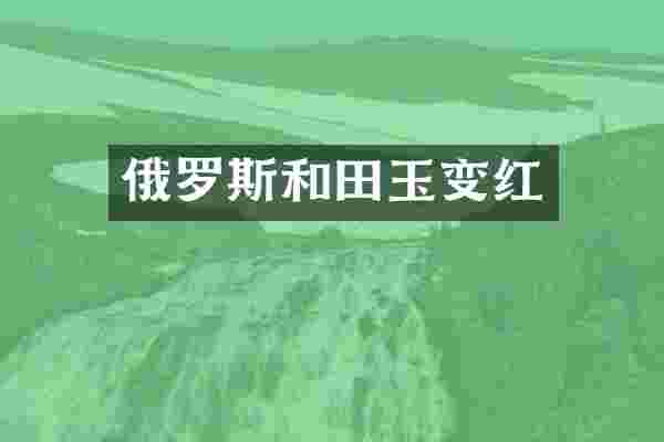 俄罗斯和田玉变红