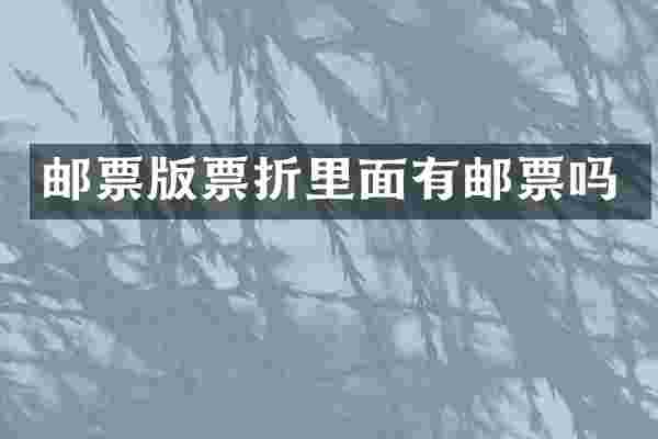 邮票版票折里面有邮票吗