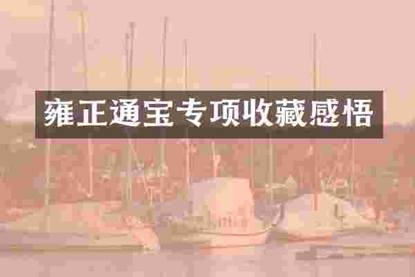 雍正通宝专项收藏感悟