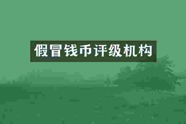 假冒钱币评级机构