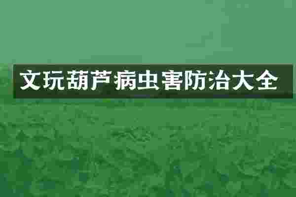 文玩葫芦病虫害防治大全