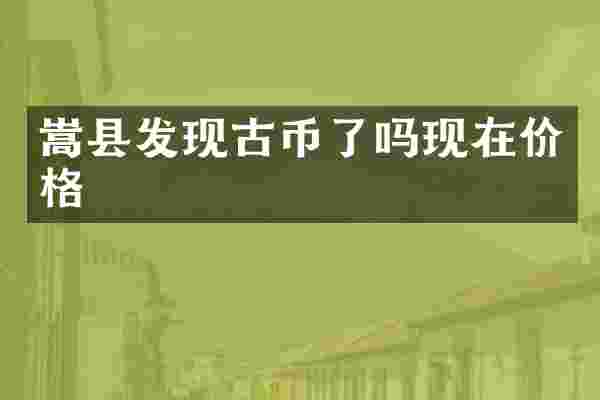 嵩县发现古币了吗现在价格