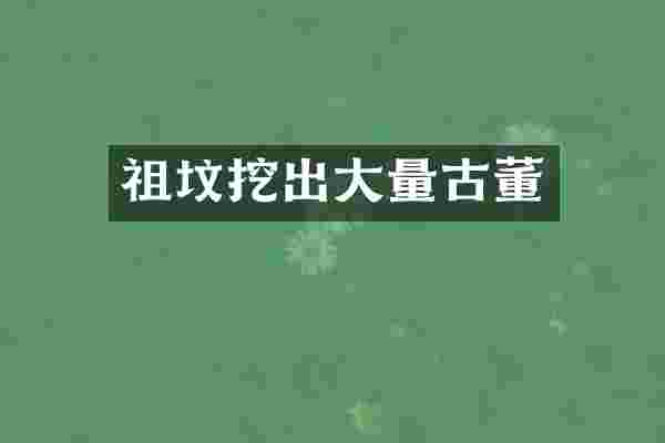 祖坟挖出大量古董