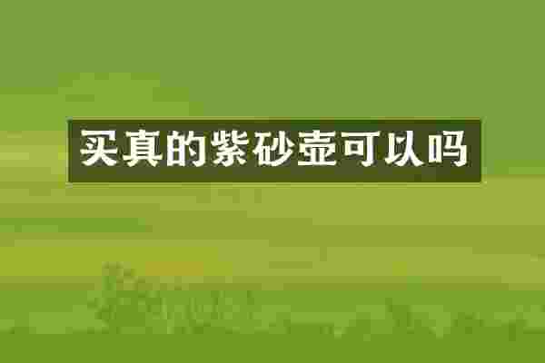 买真的紫砂壶可以吗