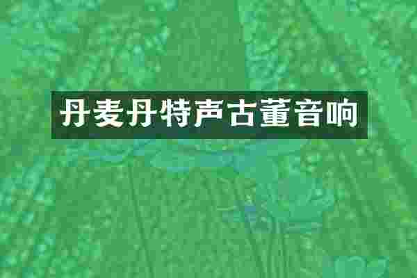 丹麦丹特声古董音响