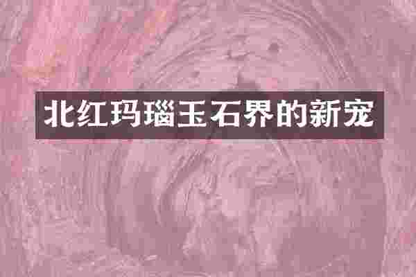 北红玛瑙玉石界的新宠