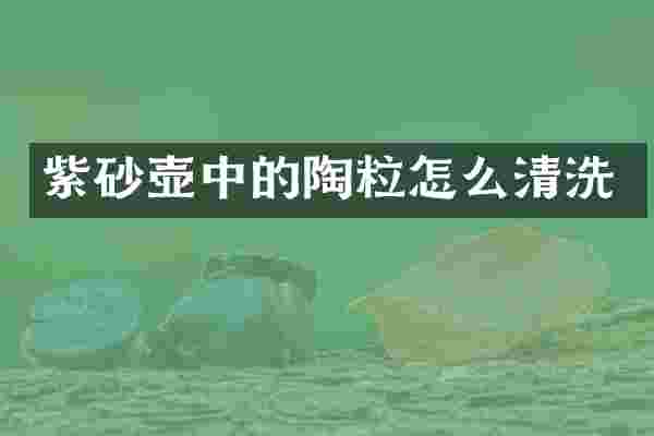 紫砂壶中的陶粒怎么清洗