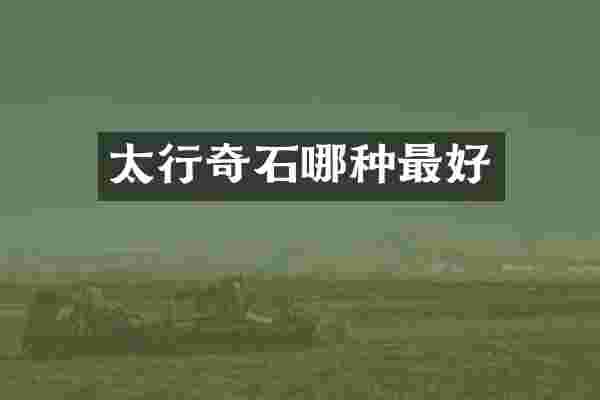 太行奇石哪种最好
