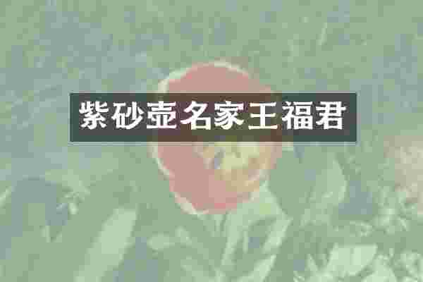 紫砂壶名家王福君