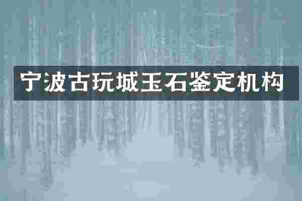 宁波古玩城玉石鉴定机构