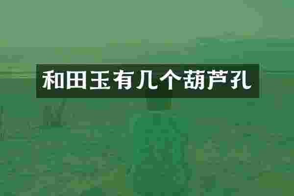 和田玉有几个葫芦孔
