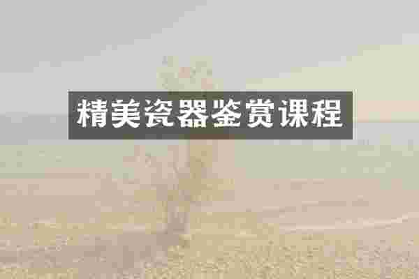 精美瓷器鉴赏课程