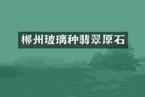 郴州玻璃种翡翠原石