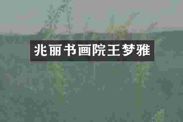 兆丽书画院王梦雅