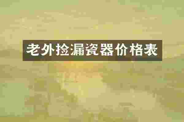 老外捡漏瓷器价格表