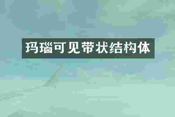 玛瑙可见带状结构体