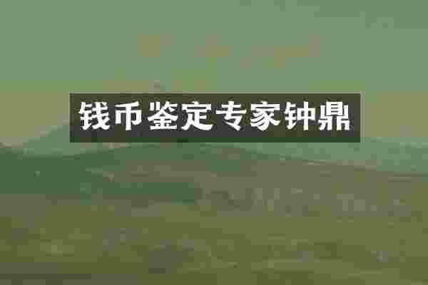 钱币鉴定专家钟鼎