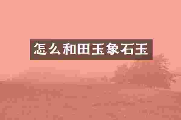 怎么和田玉象石玉