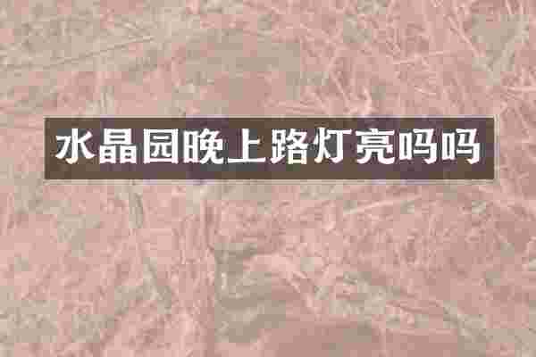 水晶园晚上路灯亮吗吗