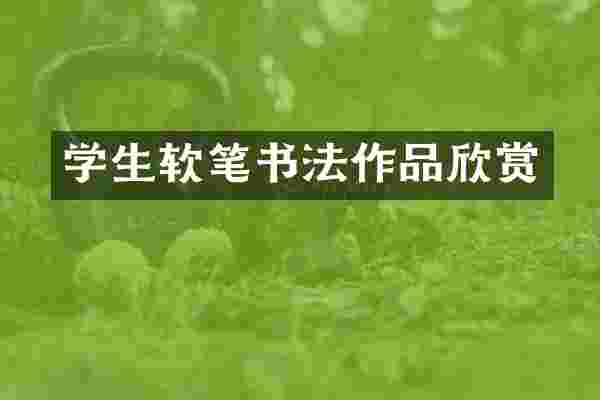 学生软笔书法作品欣赏