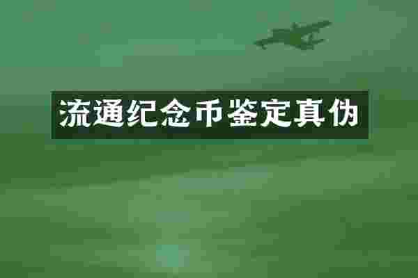 流通纪念币鉴定真伪