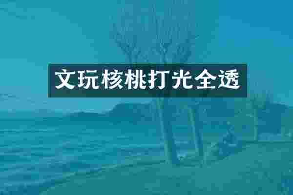 文玩核桃打光全透