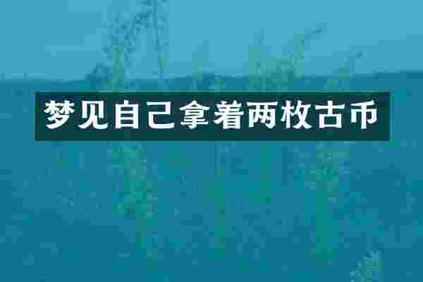 梦见自己拿着两枚古币
