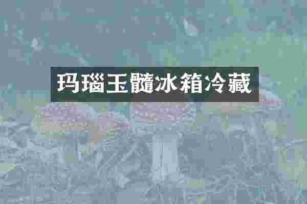 玛瑙玉髓冰箱冷藏