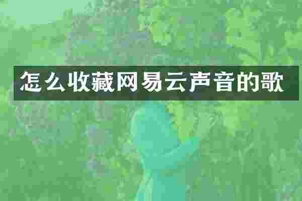 怎么收藏网易云声音的歌