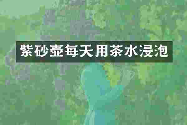 紫砂壶每天用茶水浸泡