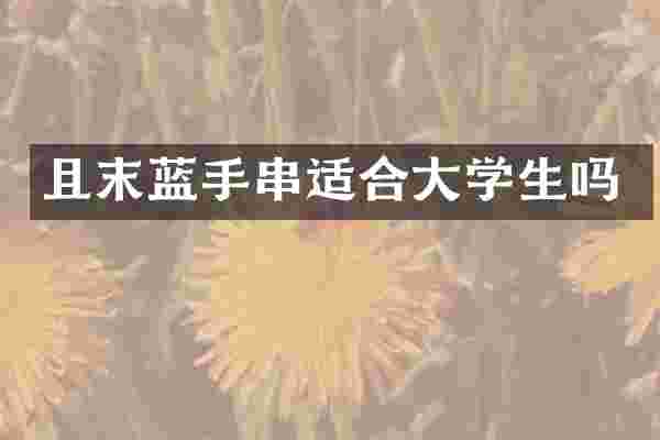 且末蓝手串适合大学生吗