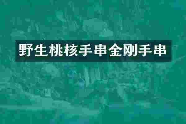 野生桃核手串金刚手串