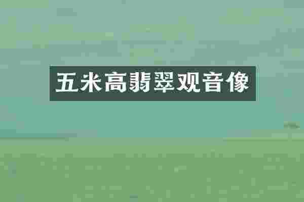 五米高翡翠观音像