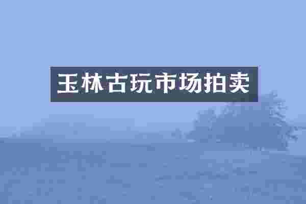 玉林古玩市场拍卖