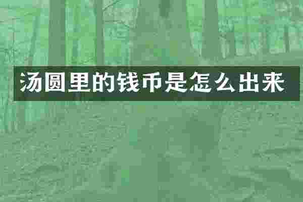 汤圆里的钱币是怎么出来