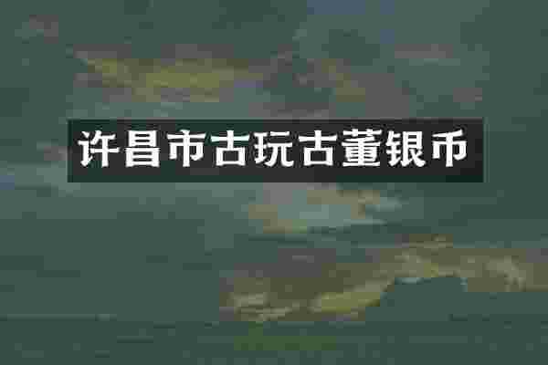 许昌市古玩古董银币