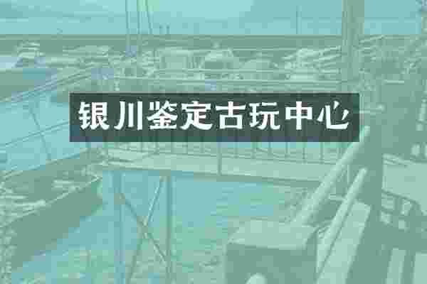 银川鉴定古心