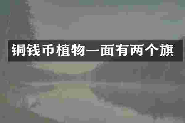 铜钱币植物一面有两个旗