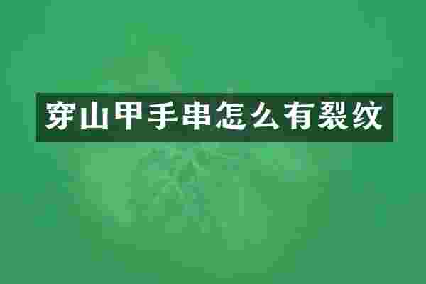 穿山甲手串怎么有裂纹