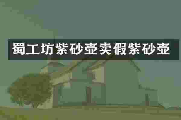 蜀工坊紫砂壶卖假紫砂壶
