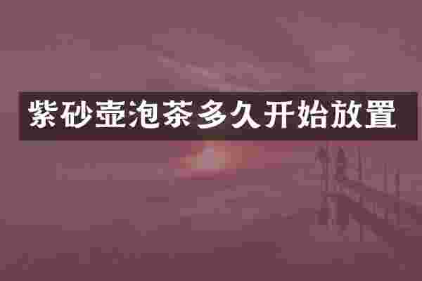紫砂壶泡茶多久开始放置