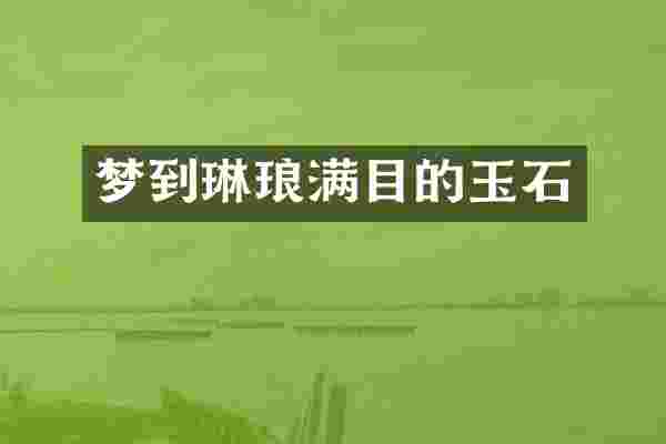 梦到琳琅满目的玉石