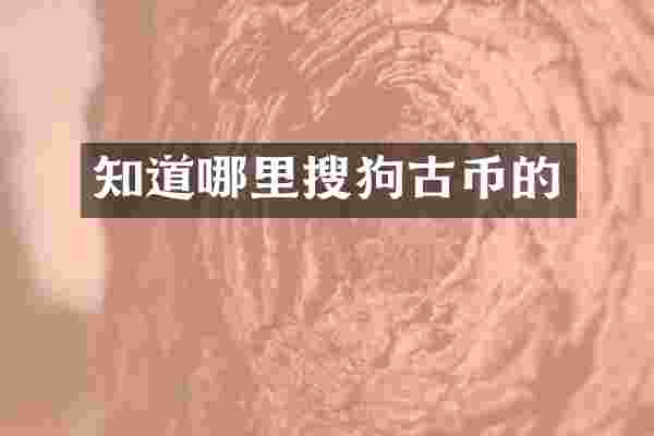 知道哪里搜狗古币的